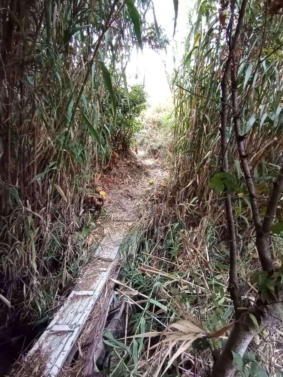 Grunde uden byggetilladelser til salg i Medina-Sidonia - € 140.000 (Ref: 7701294)