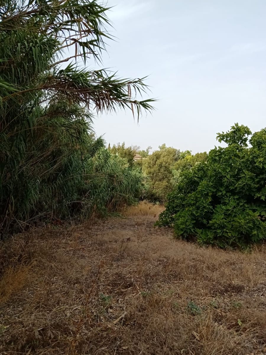 Grunde uden byggetilladelser til salg i Medina-Sidonia - € 140.000 (Ref: 7701294)