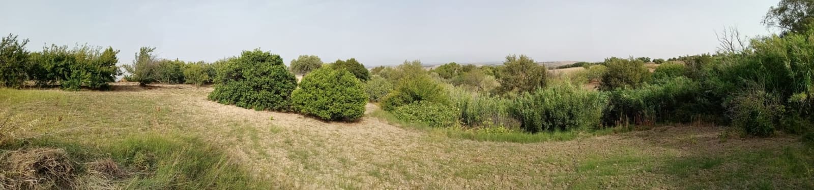 Grunde uden byggetilladelser til salg i Medina-Sidonia - € 140.000 (Ref: 7701294)