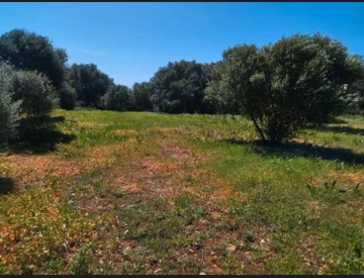 4 chambre Finca/Maison de Campagne à vendre à Manzanete - 400 000 € (Ref: 7712052)