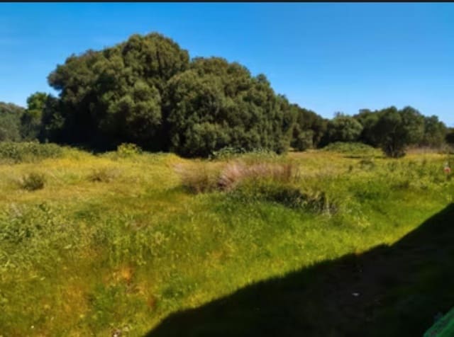 4 chambre Finca/Maison de Campagne à vendre à Manzanete, Barbate - 400 000 € (Ref: 7712052)