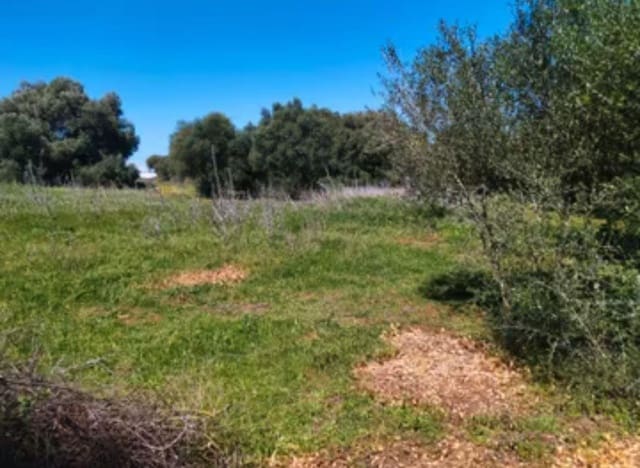 4 chambre Finca/Maison de Campagne à vendre à Manzanete, Barbate - 400 000 € (Ref: 7712052)