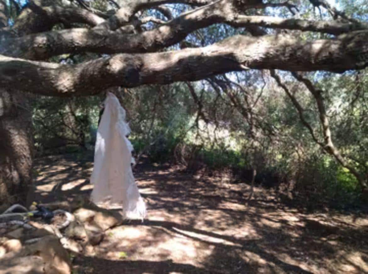 4 chambre Finca/Maison de Campagne à vendre à Manzanete - 400 000 € (Ref: 7712052)