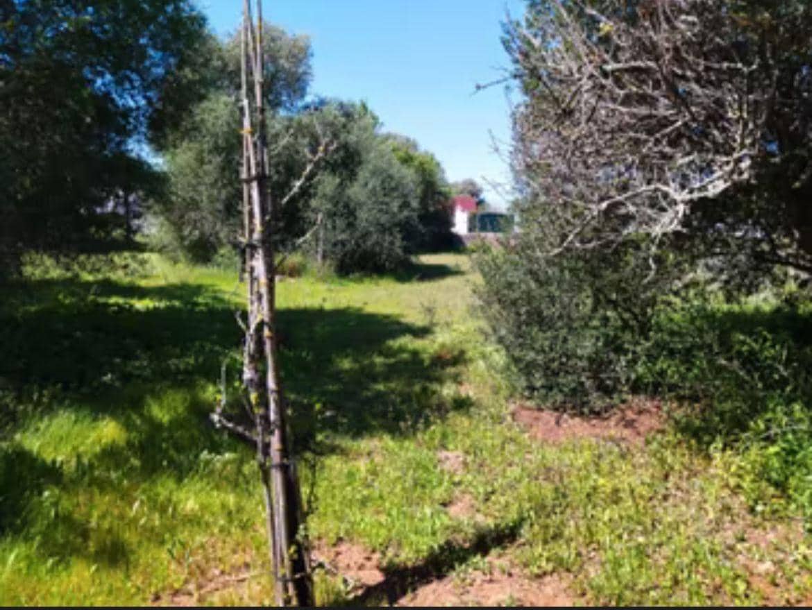 4 chambre Finca/Maison de Campagne à vendre à Manzanete - 400 000 € (Ref: 7712052)