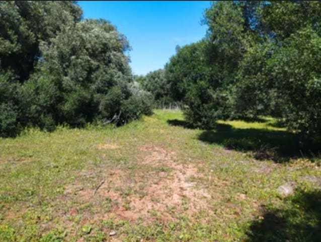 4 chambre Finca/Maison de Campagne à vendre à Manzanete, Barbate - 400 000 € (Ref: 7712052)