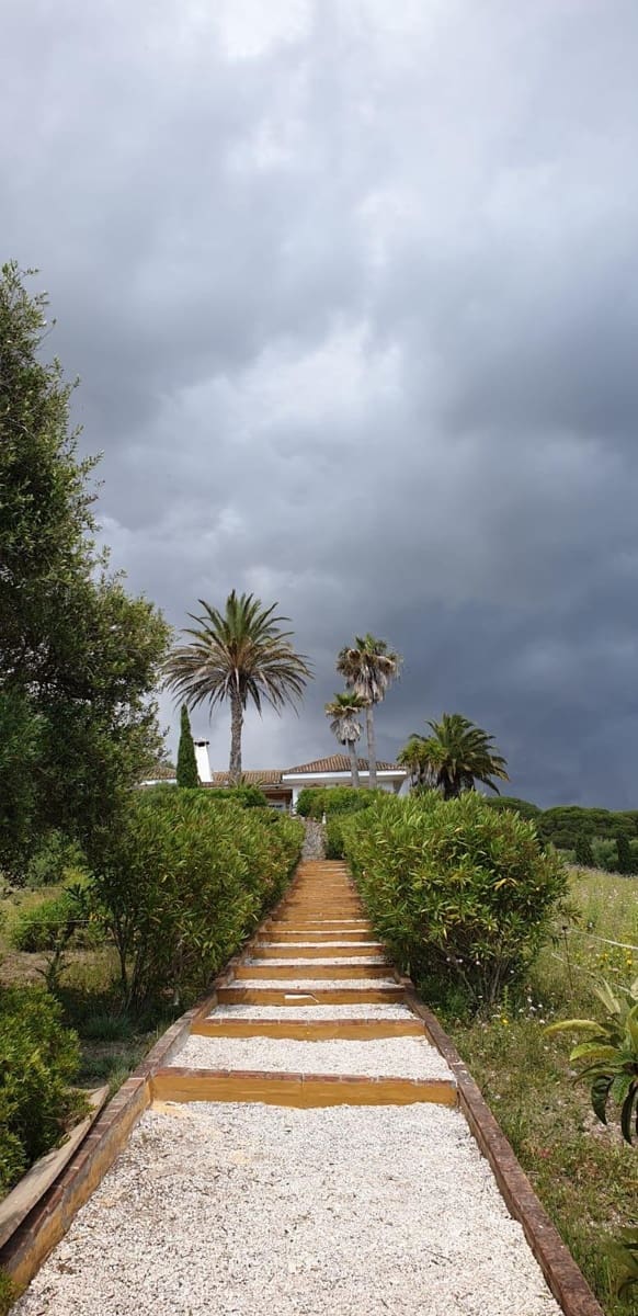 4 chambre Finca/Maison de Campagne à vendre à San Ambrosio avec piscine - 550 000 € (Ref: 7765072)