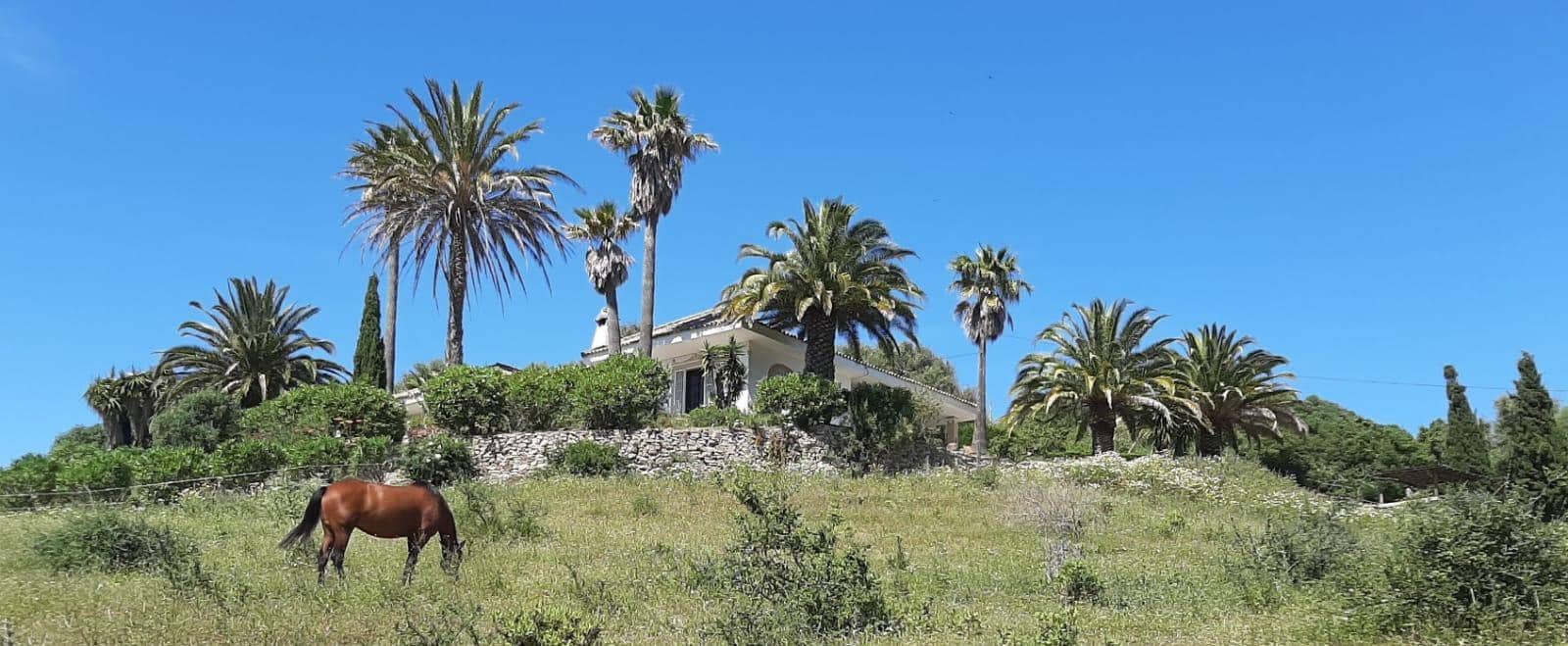 4 chambre Finca/Maison de Campagne à vendre à San Ambrosio avec piscine - 550 000 € (Ref: 7765072)