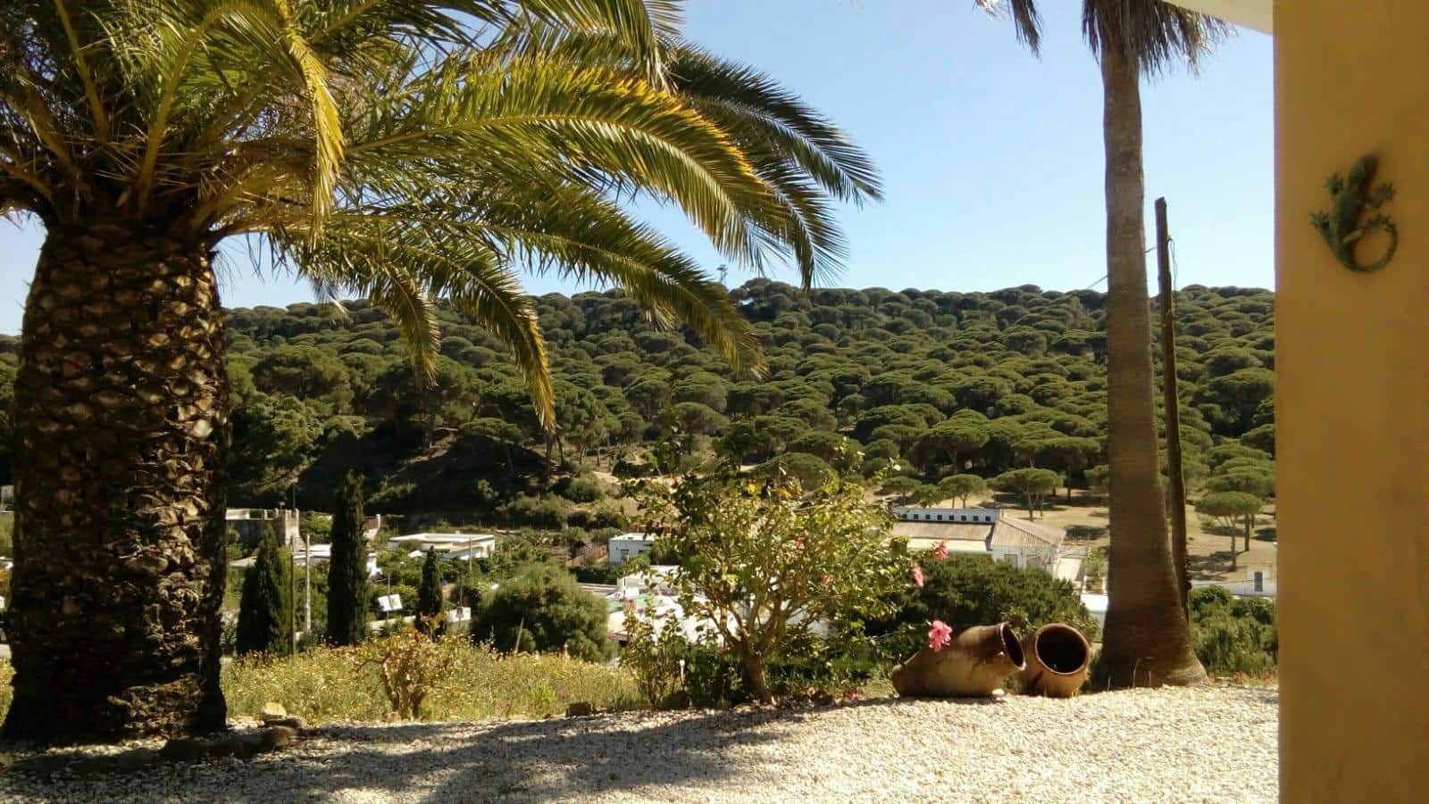 4 chambre Finca/Maison de Campagne à vendre à San Ambrosio avec piscine - 550 000 € (Ref: 7765072)