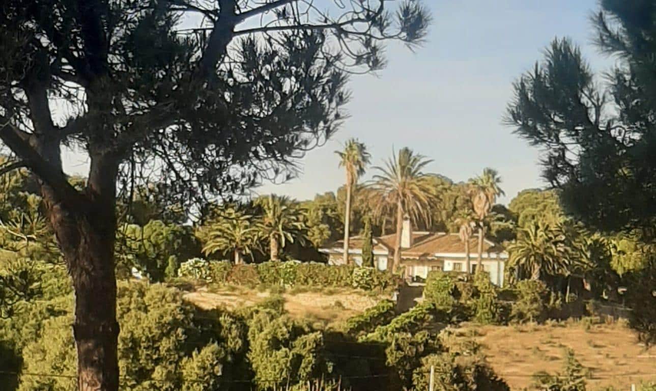 4 bedroom Finca/Country House for sale in San Ambrosio with pool - € 550,000 (Ref: 7765072)