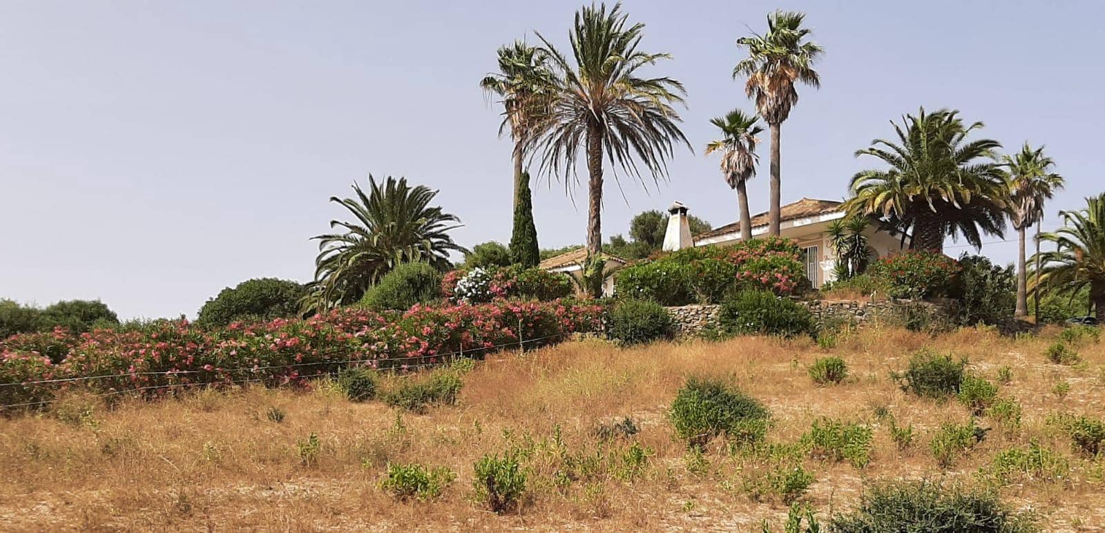 4 bedroom Finca/Country House for sale in San Ambrosio with pool - € 550,000 (Ref: 7765072)