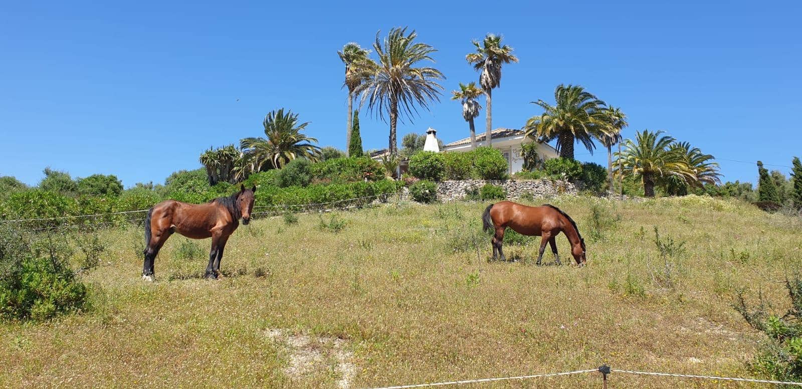 4 bedroom Finca/Country House for sale in San Ambrosio with pool - € 550,000 (Ref: 7765072)