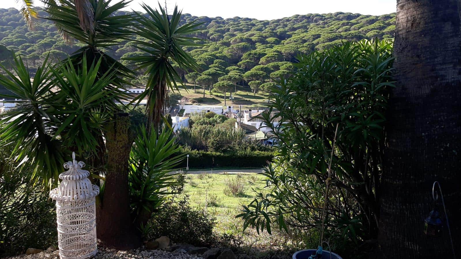 4 bedroom Finca/Country House for sale in San Ambrosio with pool - € 550,000 (Ref: 7765072)