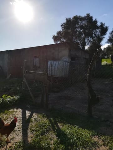 3 soveværelse Finca/Landehus til salg i Vejer de la Frontera - € 400.000 (Ref: 7772160)