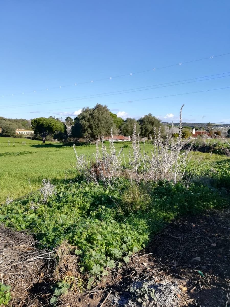3 bedroom Finca/Country House for sale in Vejer de la Frontera - € 400,000 (Ref: 7772160)