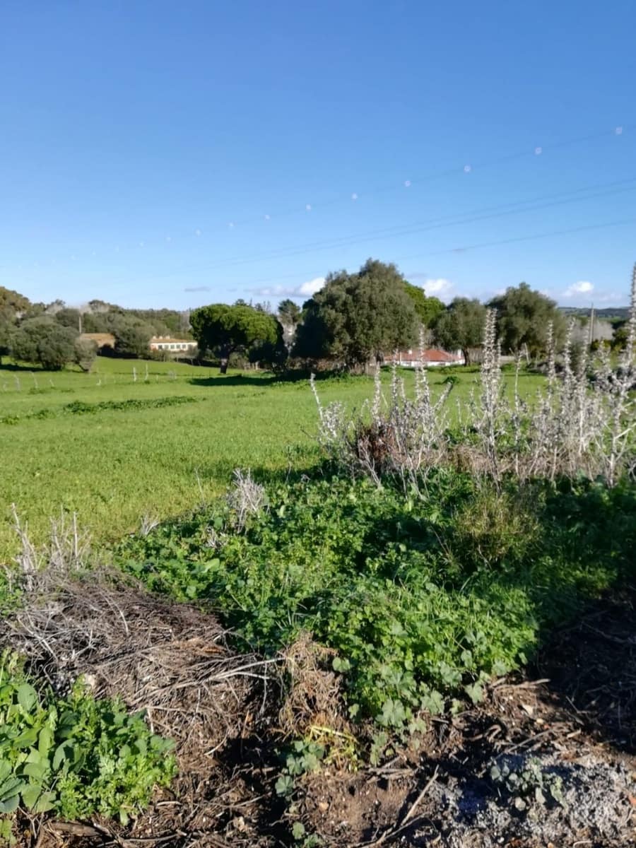 3 bedroom Finca/Country House for sale in Vejer de la Frontera - € 400,000 (Ref: 7772160)
