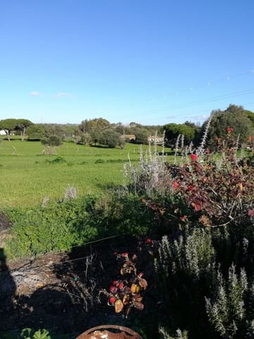 3 soveværelse Finca/Landehus til salg i Vejer de la Frontera - € 400.000 (Ref: 7772160)