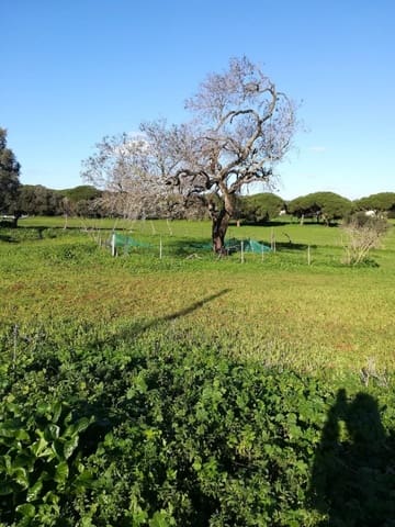 3 soveværelse Finca/Landehus til salg i Vejer de la Frontera - € 400.000 (Ref: 7772160)