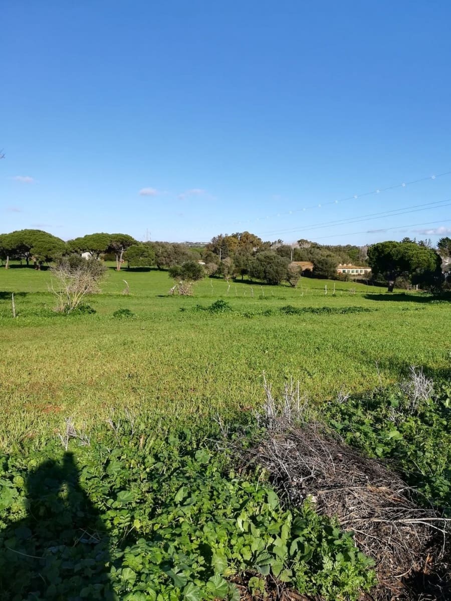 3 bedroom Finca/Country House for sale in Vejer de la Frontera - € 400,000 (Ref: 7772160)