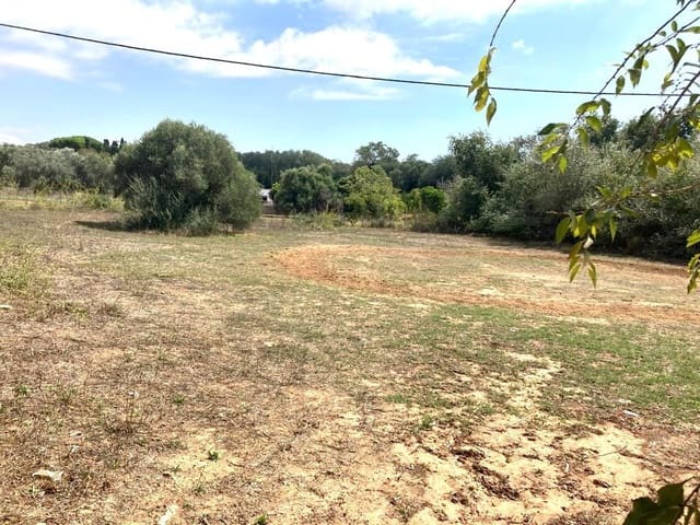 Bouwgrond te koop in Vejer de la Frontera - € 180.000 (Ref: 7802839)