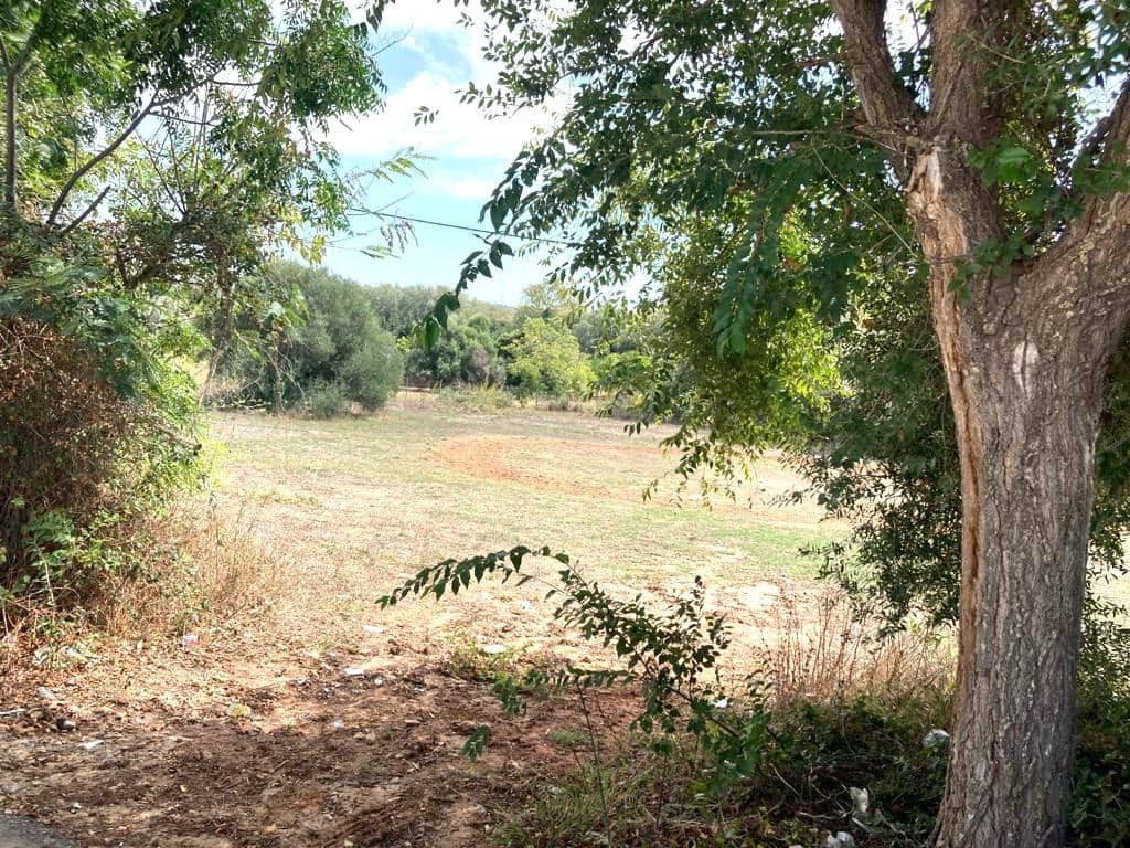 Byggegrund til salg i Vejer de la Frontera - € 180.000 (Ref: 7802839)