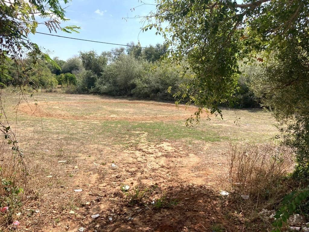 Byggegrund til salg i Vejer de la Frontera - € 180.000 (Ref: 7802839)