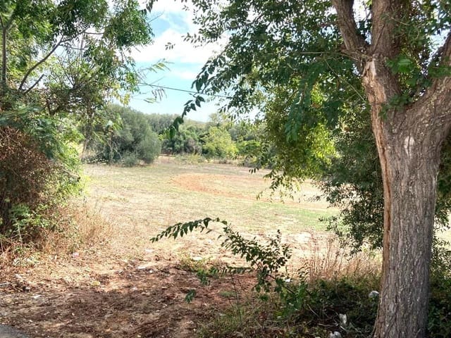 Bouwgrond te koop in Vejer de la Frontera - € 180.000 (Ref: 7802839)