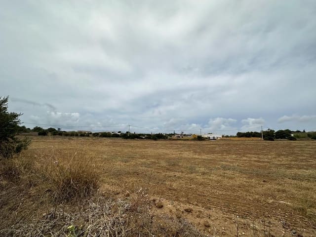 Finca/Landehus til salg i Conil de la Frontera - € 1.200.000 (Ref: 7858107)