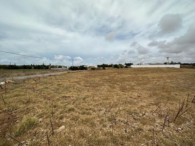 Finca/Landehus til salg i Conil de la Frontera - € 1.200.000 (Ref: 7858107)