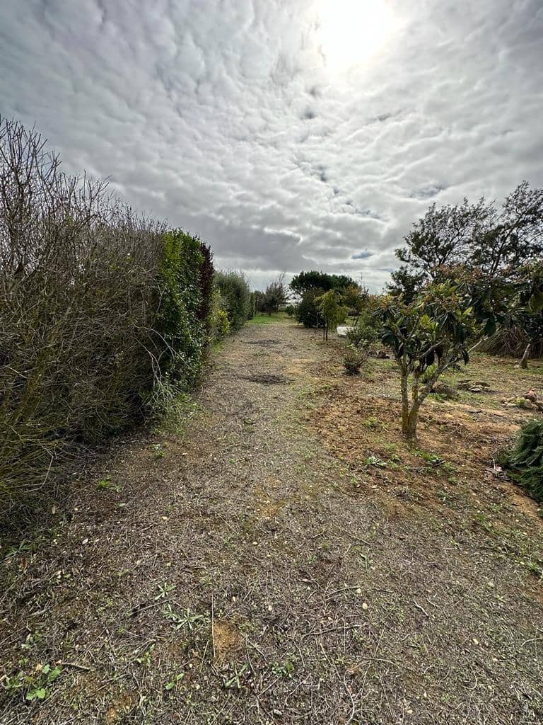 Finca/Landehus til salg i Chiclana de la Frontera - € 120.000 (Ref: 7880664)