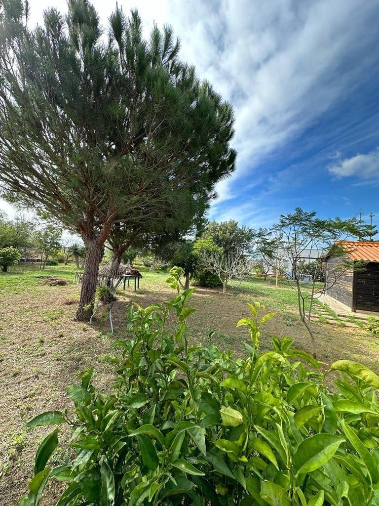 Finca/Landehus til salg i Chiclana de la Frontera - € 120.000 (Ref: 7880664)