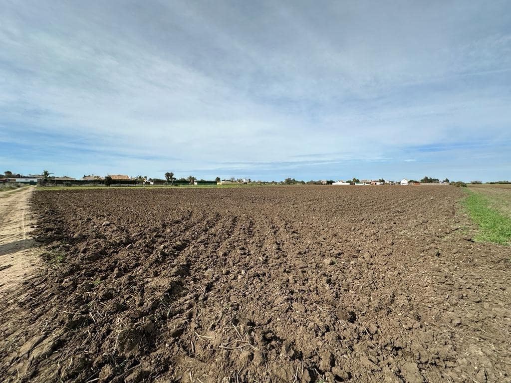 Grunde uden byggetilladelser til salg i El Palmar - € 260.000 (Ref: 7896183)