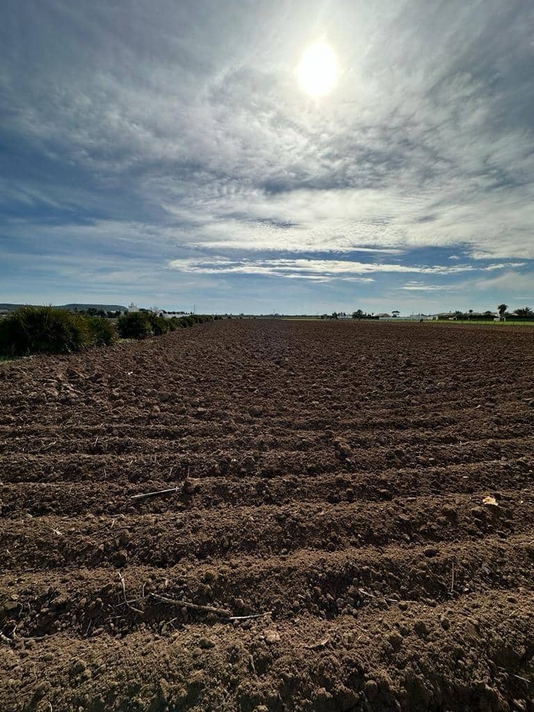 Grunde uden byggetilladelser til salg i El Palmar - € 260.000 (Ref: 7896183)