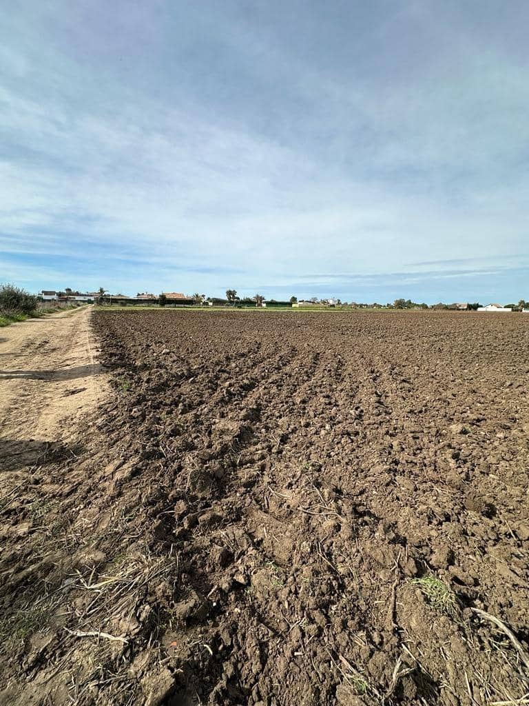 Grunde uden byggetilladelser til salg i El Palmar - € 260.000 (Ref: 7896183)