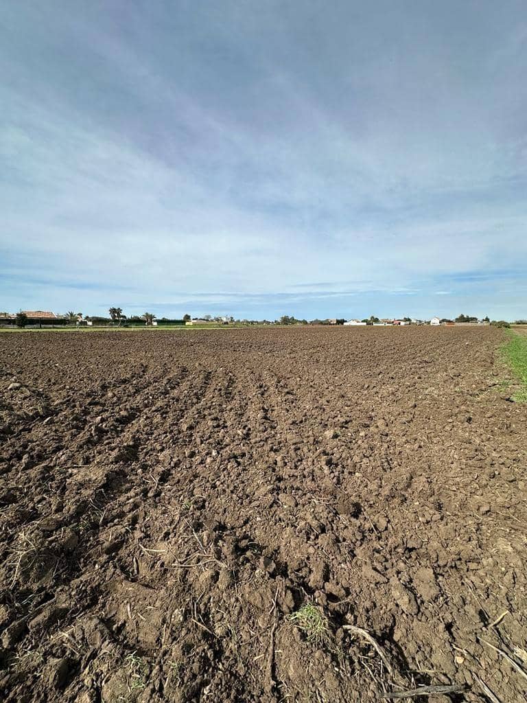 Grunde uden byggetilladelser til salg i El Palmar - € 260.000 (Ref: 7896183)