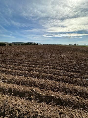 Grond te koop in El Palmar, Vejer de la Frontera - € 260.000 (Ref: 7896183)