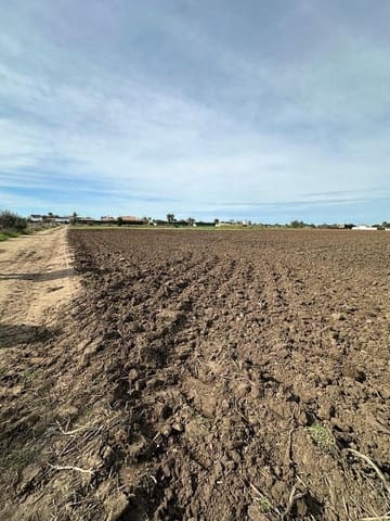 Grond te koop in El Palmar, Vejer de la Frontera - € 260.000 (Ref: 7896183)