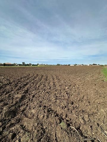 Grond te koop in El Palmar, Vejer de la Frontera - € 260.000 (Ref: 7896183)