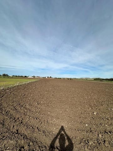 Grond te koop in El Palmar, Vejer de la Frontera - € 260.000 (Ref: 7896183)