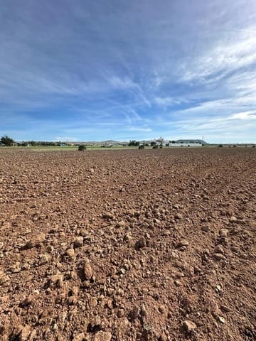 Grond te koop in El Palmar, Vejer de la Frontera - € 260.000 (Ref: 7896183)