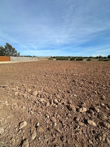 Grond te koop in El Palmar, Vejer de la Frontera - € 260.000 (Ref: 7896183)