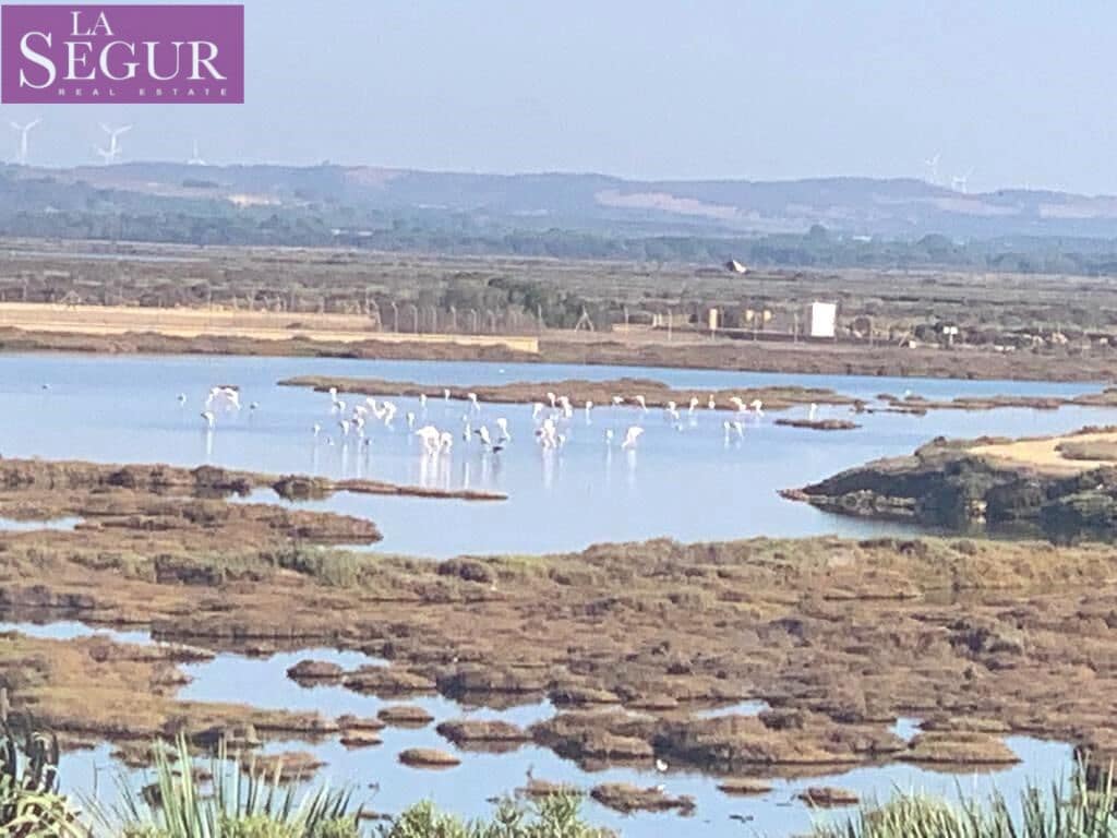 5 soveværelse Finca/Landehus til salg i Barbate - € 510.000 (Ref: 8046044)