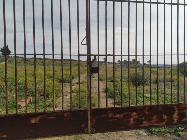 Terreno para Construção para venda em Medina-Sidonia - 170 000 € (Ref: 8069108)