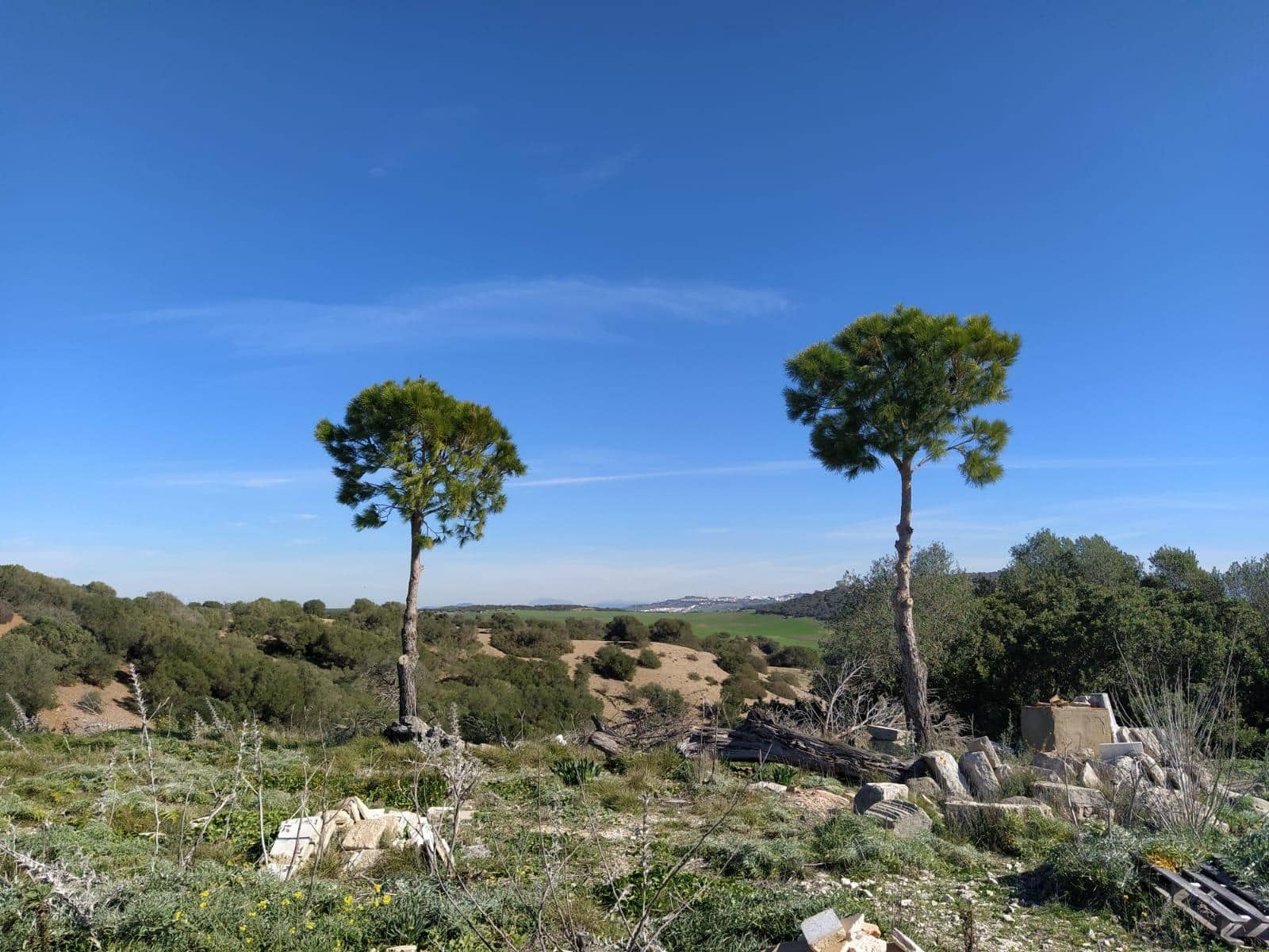 Bauplatz zu verkaufen in Medina-Sidonia - 170.000 € (Ref: 8069108)