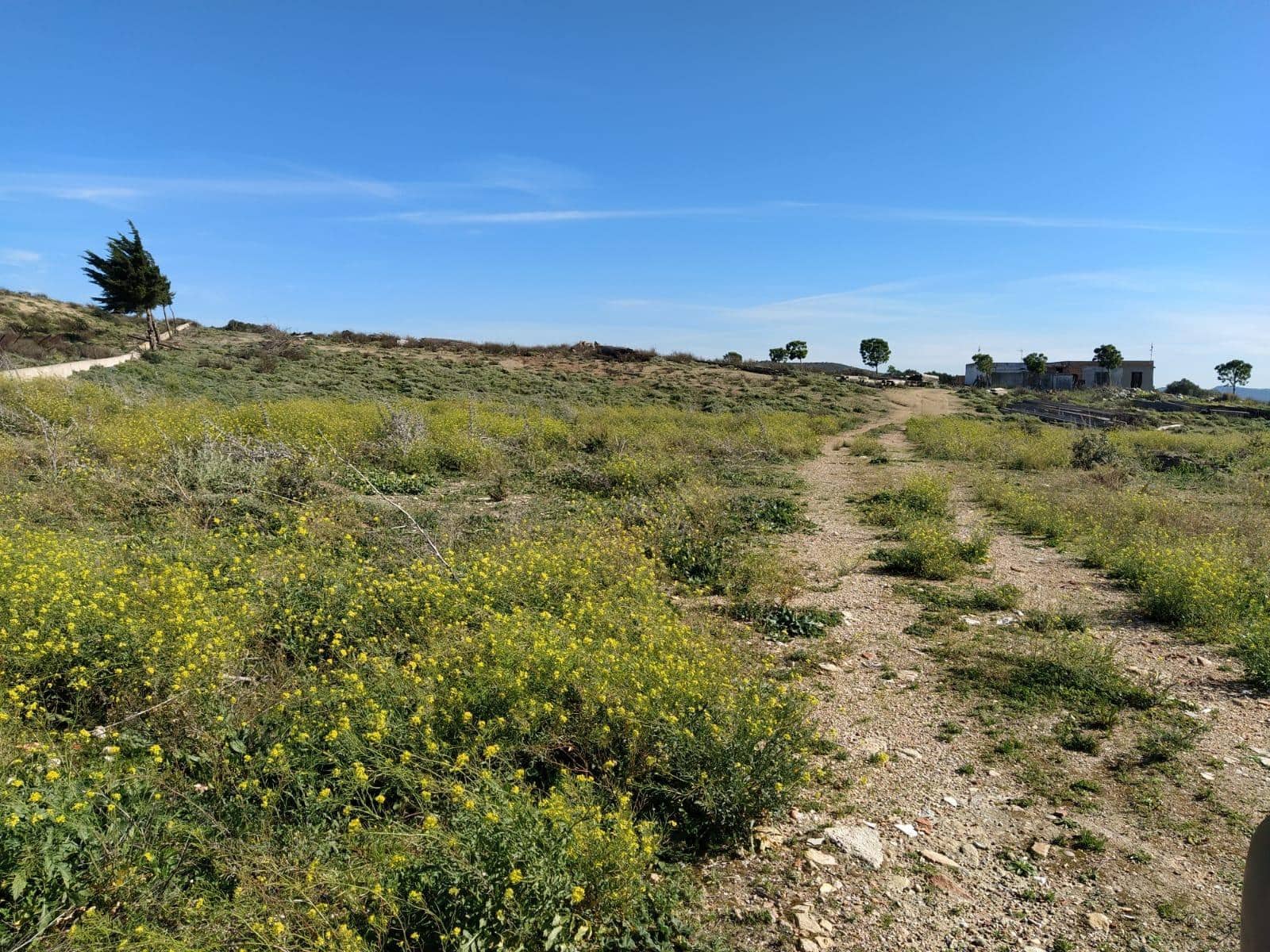 Bauplatz zu verkaufen in Medina-Sidonia - 170.000 € (Ref: 8069108)