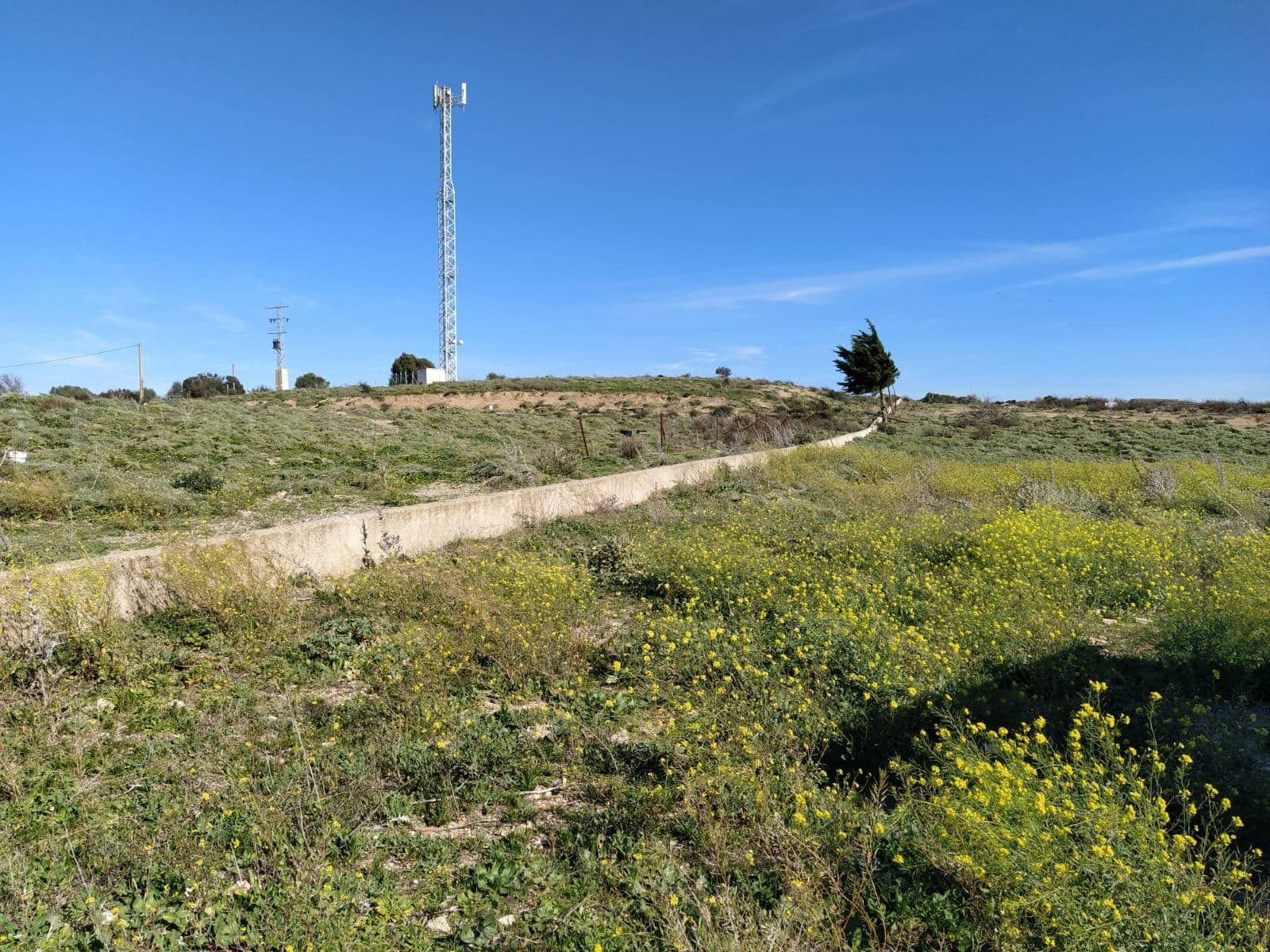 Bauplatz zu verkaufen in Medina-Sidonia - 170.000 € (Ref: 8069108)