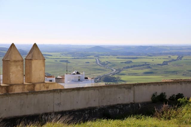 Terreno para Construção para venda em Medina-Sidonia - 130 000 € (Ref: 8076926)