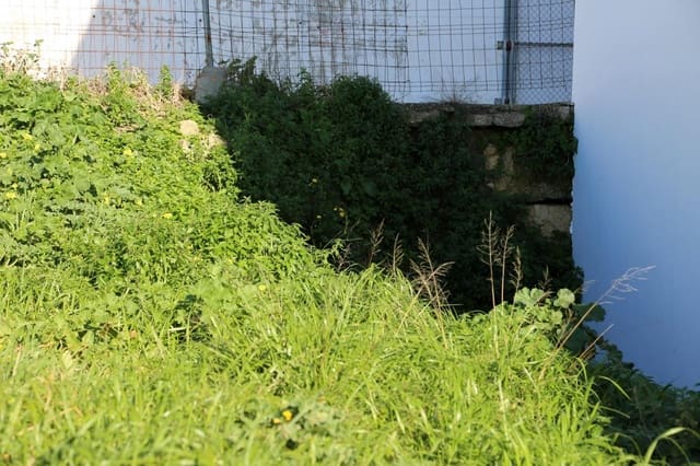 Terreno para Construção para venda em Medina-Sidonia - 130 000 € (Ref: 8076926)