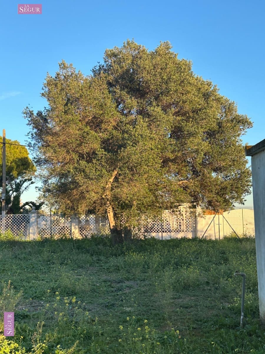Tontti myytävänä paikassa Chiclana de la Frontera - 189 000 € (Ref: 8083113)