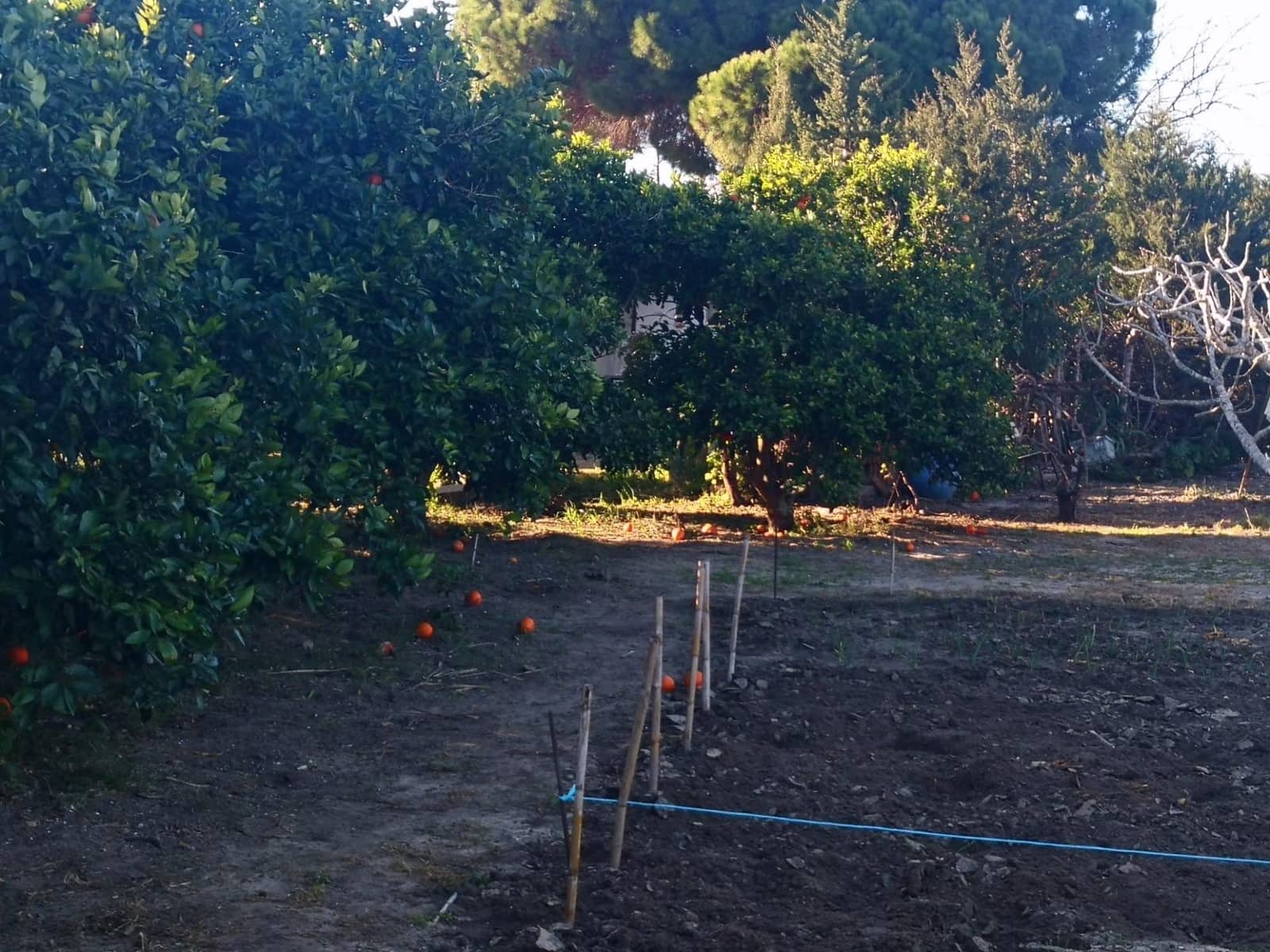 Grunde uden byggetilladelser til salg i Barbate - € 164.000 (Ref: 8083114)