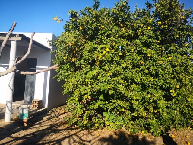 Grunde uden byggetilladelser til salg i Barbate - € 164.000 (Ref: 8083114)